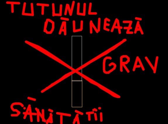 yubitza_camelia_miha2000