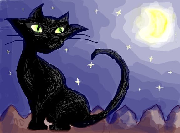 cat