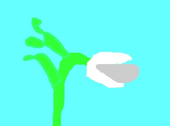O planata carnivora