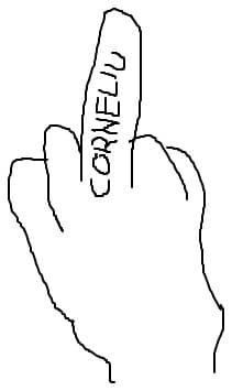 cu dedicatie