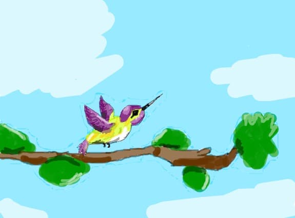 pasarea colibri
