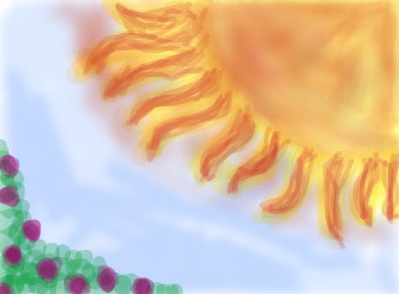 sun