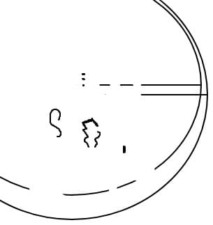 iluzie optica