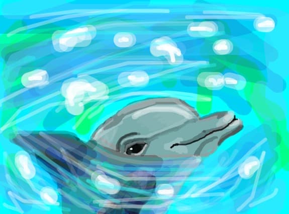 delfin