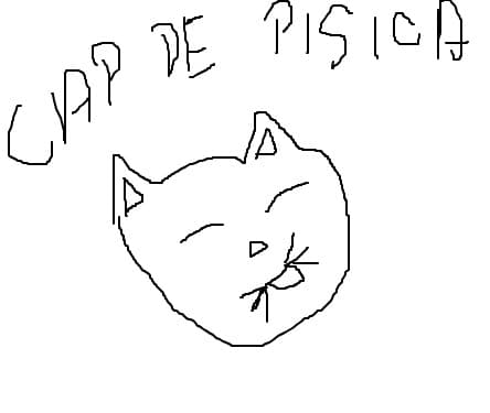 pisica