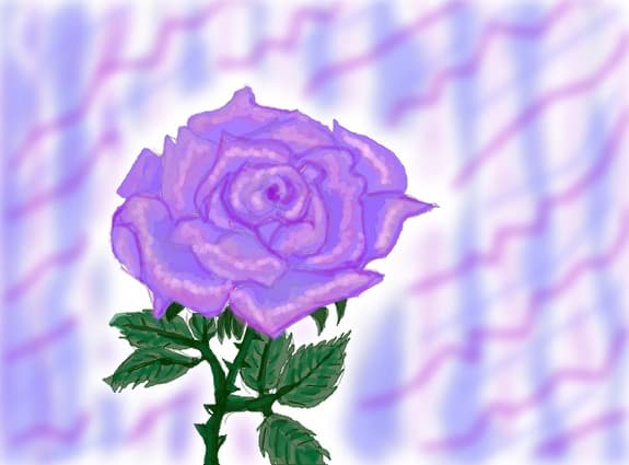 broken rose