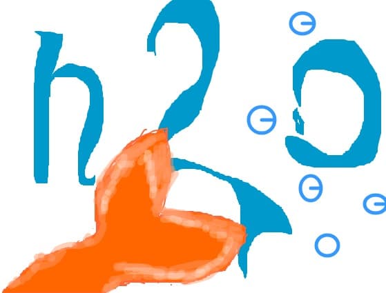 h2o