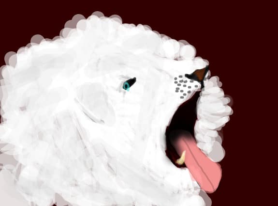white lionj