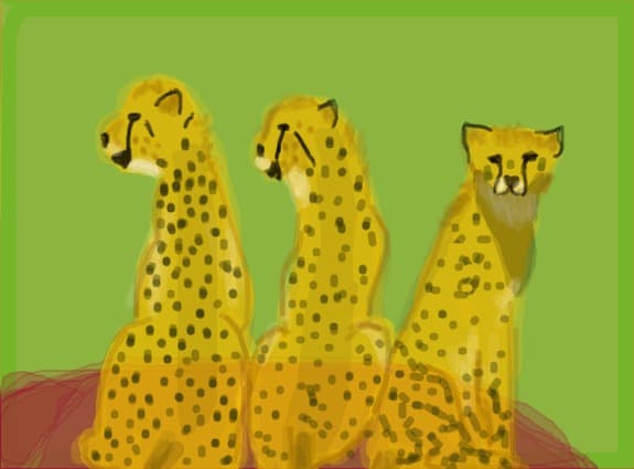 3 gheparzi