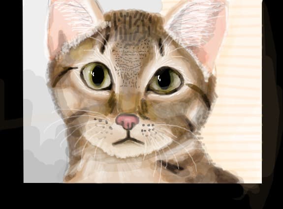 Kitty
