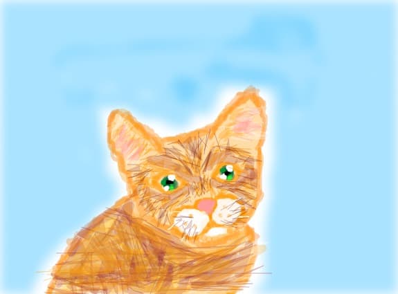 little cat