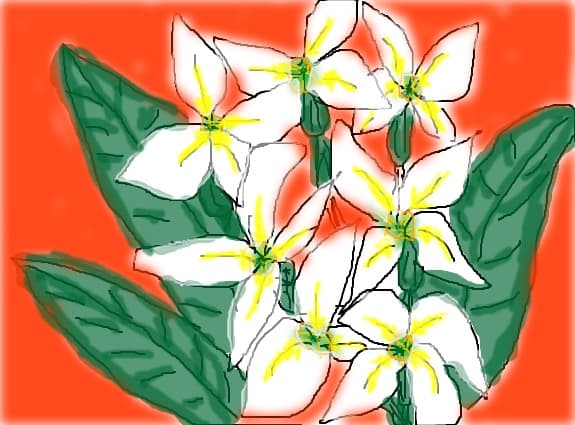 floricele
