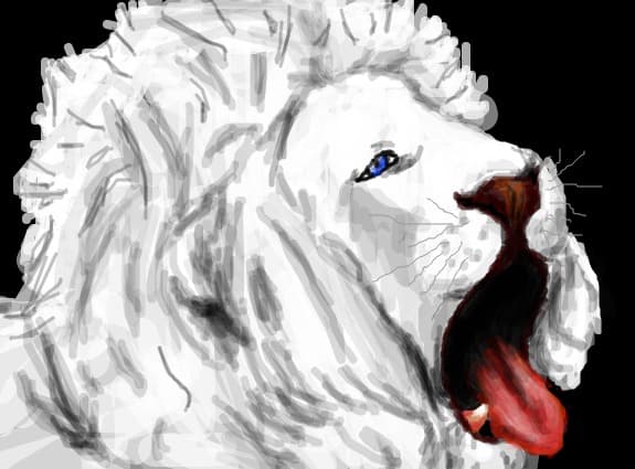 Lion white