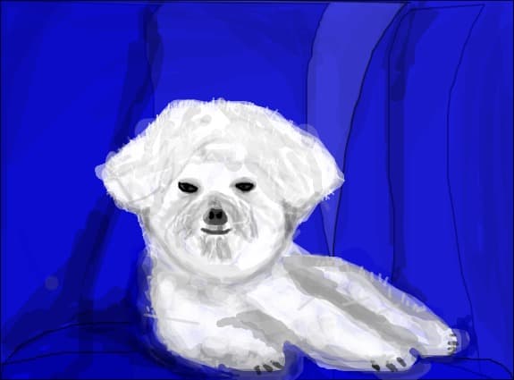 cutzu:X