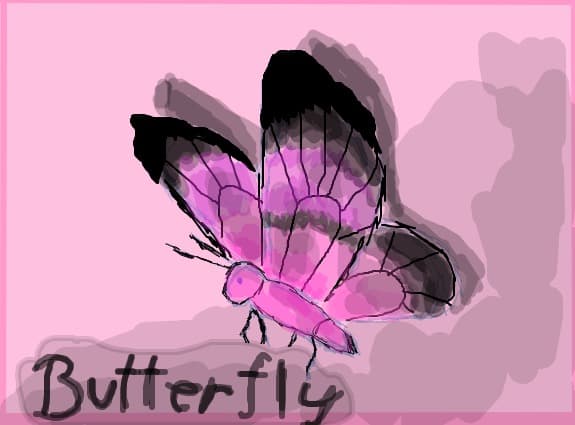 butterfly