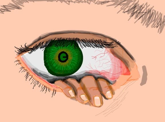 The eye
