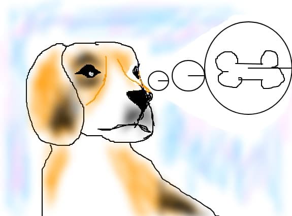 dog