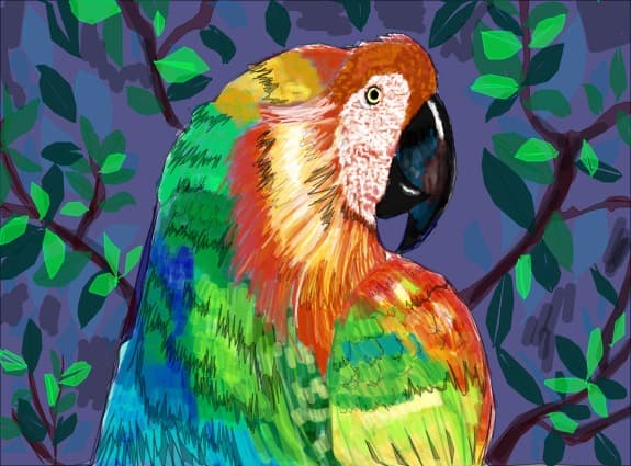 life is full of colors