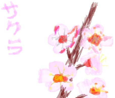 Sakura(incercare)