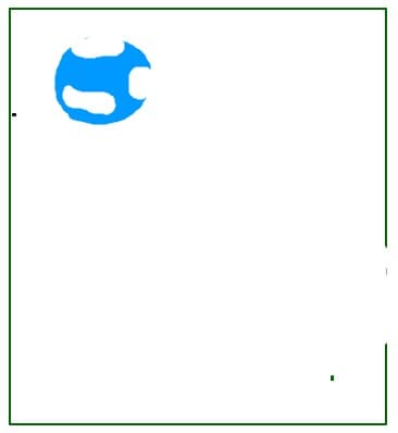 Animal planet