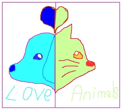 Love animals