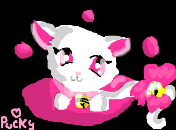 kitty
