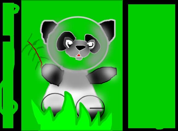 panda