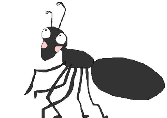 a litle ant