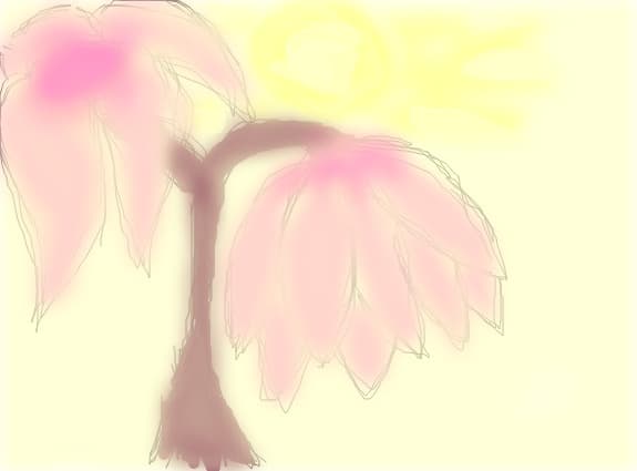 planta secreta