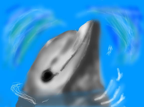 Delfin