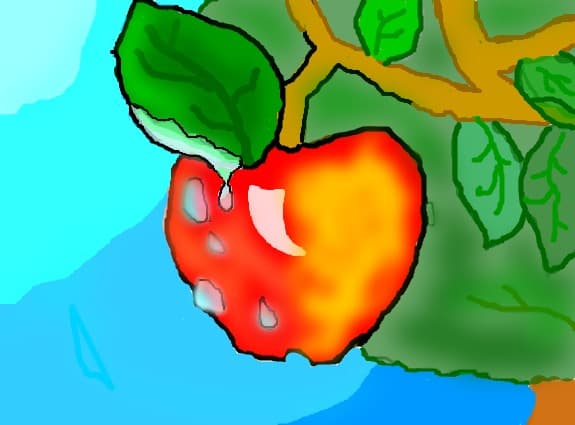 Roua pe un mar