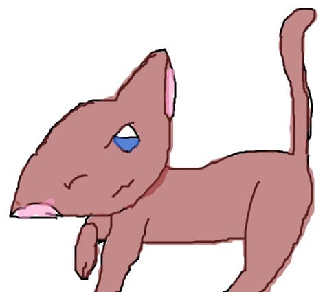 miau!