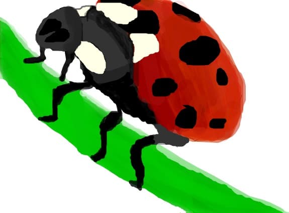 buburuza..as vrea sa ajunga in top..daca se poate
