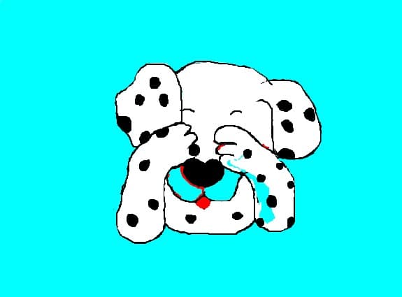 catelus dalmatian