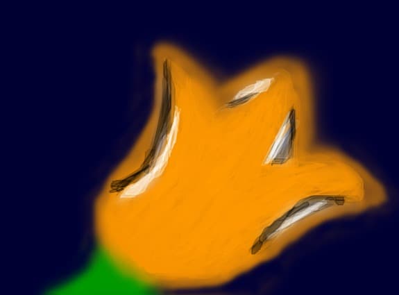 o floare