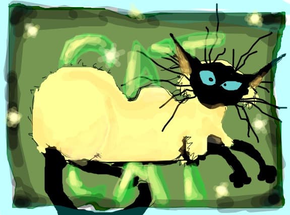 cat