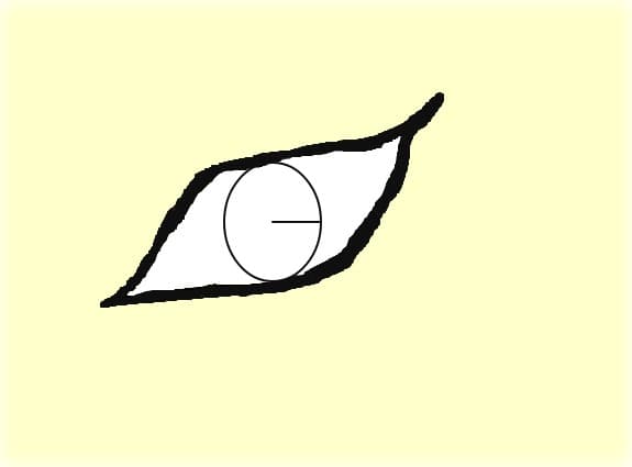 Ochi egiptean