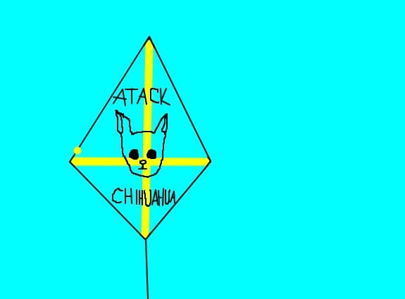 Atack chihuahua