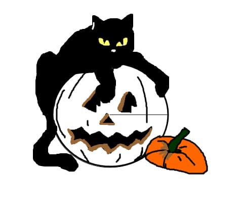 Kitty Halloween