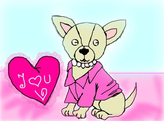 Chihuahua
