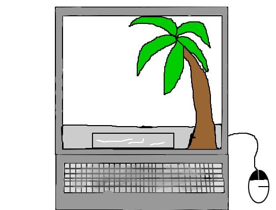 Laptop cu anunturi