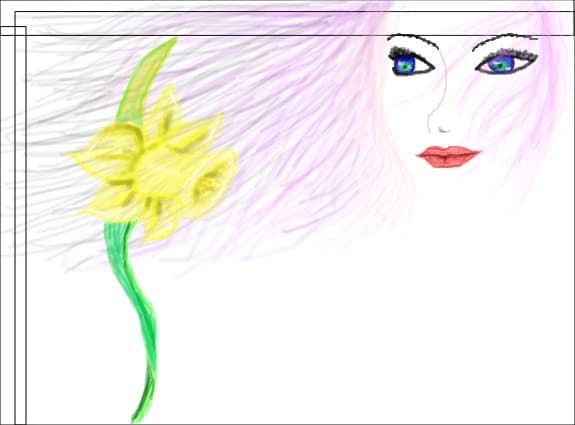 Desen 39131 modificat:narcisa