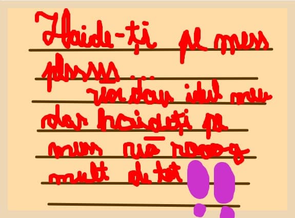 mesaj