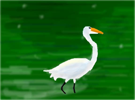 Pelican pe lac