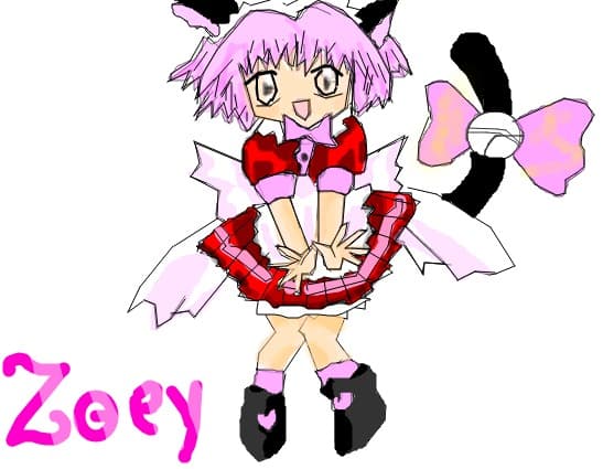 Echipa Miau Miau
