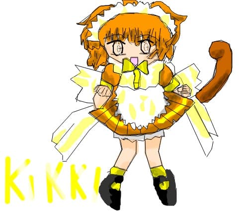 Echipa Miau Miau