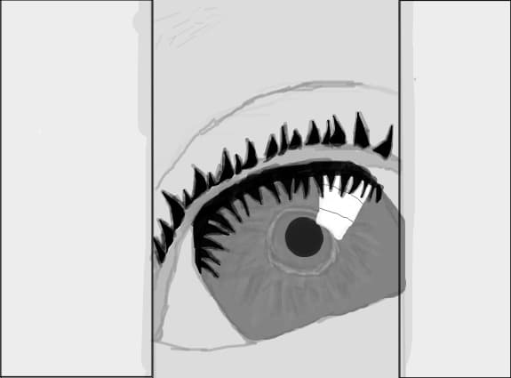 Eye