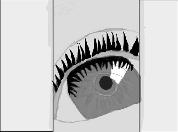 Eye