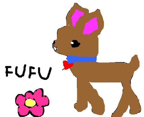 fufu
