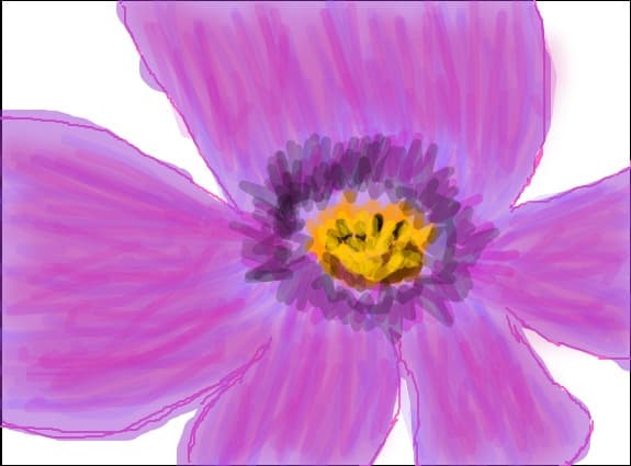 purple flower
